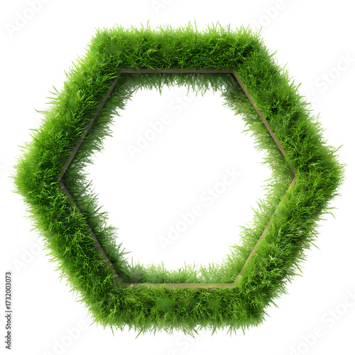 Eco Friendly Grass Geometry (Hexagon) – Natural Frame on a transparent background