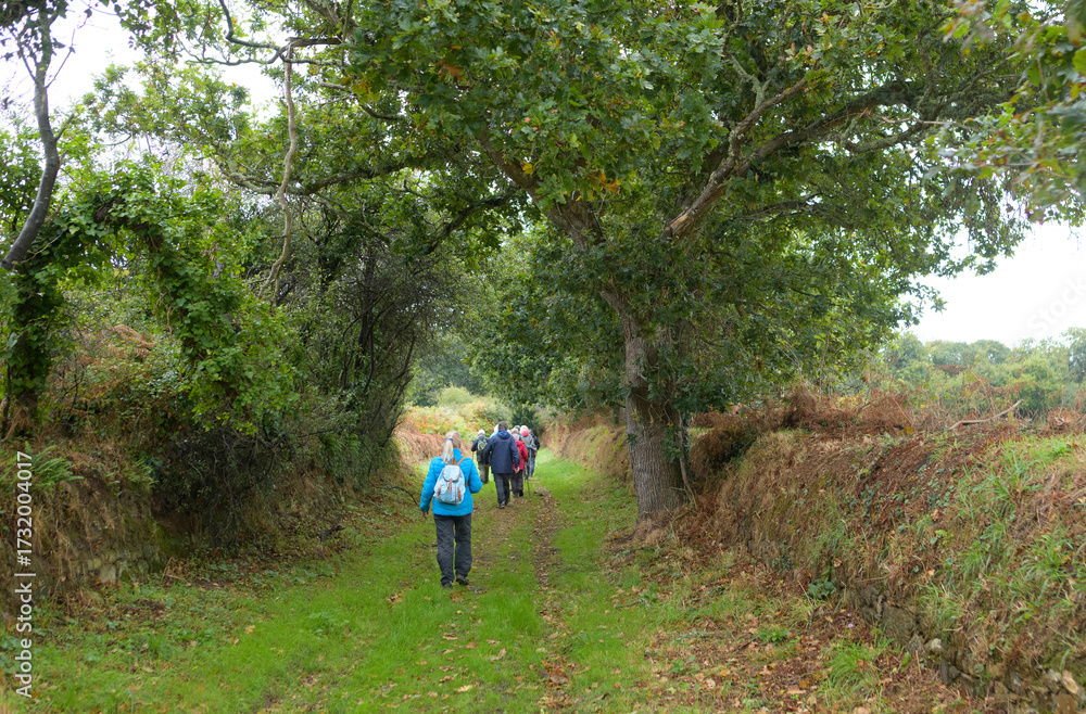 Fototapeta premium Groupe de randonneurs sur un sentier en Bretagne - France