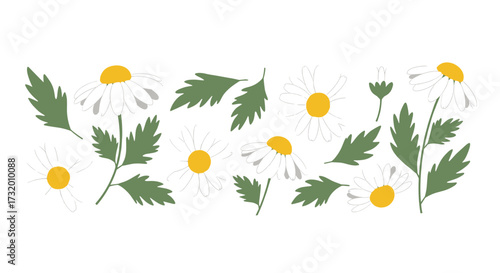 A delightful arrangement of daisies with green leaves and buds in a soft watercolor style.
