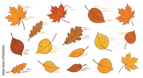 Collection of colorful autumn leaves falling and blowing in the wind.