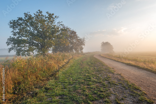 An unpaved path through a Dutch polder in the province of North Brabant. It's still early in the autumn morning. It's foggy, and the sunlight is trying to break through.