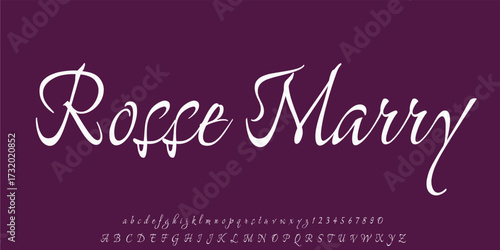 Best Alphabet Madison Street Calligraphy Signature Font lettering handwritten