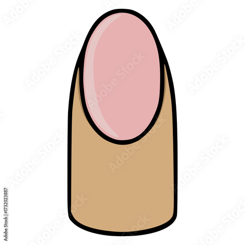 Stylized vector illustration of a single human fingernail with a soft pink nail bed and a brown cuticle.