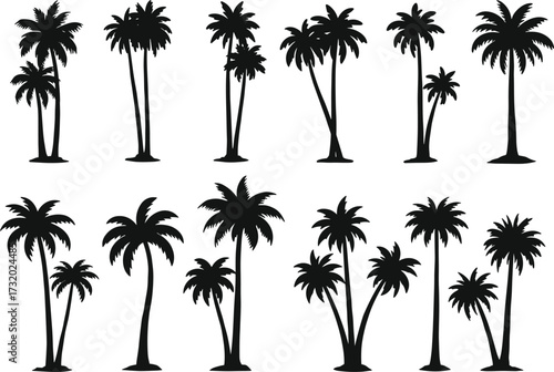 Palm tree silhouettes, tropical vector illustration, black botanical artwork, exotic jungle trees, coconut palms, beach design, summer vacation, island nature, tropical plants