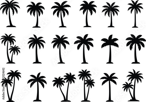 Palm tree silhouettes, tropical vector illustration, black botanical artwork, exotic jungle trees, coconut palms, beach design, summer vacation, island paradise, tropical plants