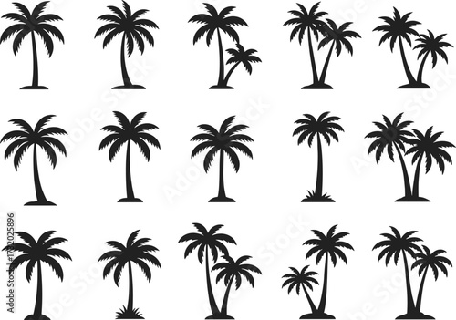 Palm tree silhouettes, tropical vector set, black botanical illustration, exotic jungle trees, coconut palm, beach design, summer vacation, island nature, tropical plants