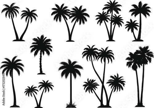 Palm tree silhouettes, tropical vector set, black botanical illustration, exotic jungle trees, coconut palm, beach design, summer vacation, island nature, tropical plants
