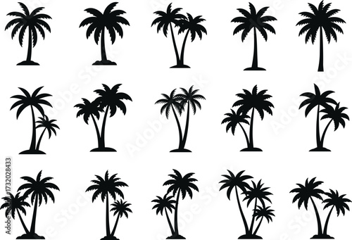 Palm tree silhouettes, tropical vector set, black botanical illustration, exotic jungle trees, coconut palm, beach design, summer vacation, island nature, tropical plants