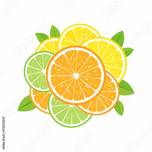 Creative citrus fruits vector art in modern minimal flat design featuring oranges, lemons, and limes.