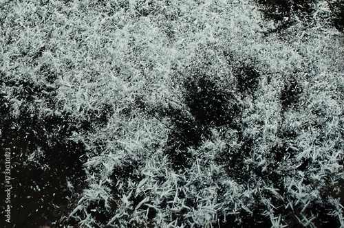 beautiful textured huge snowflakes or snow flakes on real ice of a frozen pond. Background.