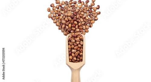 Bild auf Leinwand Isolated uncooked pinto beans spilling from wooden spoon, nutritious legume ingr
