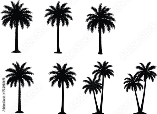 Palm tree silhouettes, tropical vector illustration, black botanical artwork, exotic jungle trees, coconut palms, beach design, summer vacation, island paradise, tropical plants