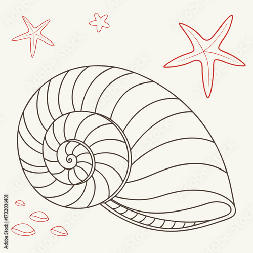 Stylized outline of a large nautilus shell with red starfish and seashell accents on a light cream background