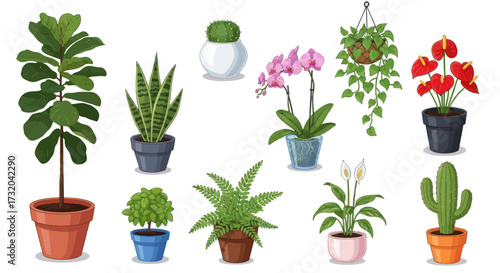 Diverse Collection of Potted Houseplants and Indoor Greenery.