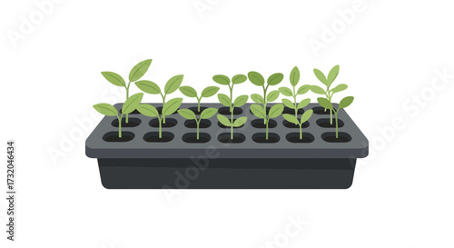 Seedling tray brimming with tiny sprouts, a promise of future gardens