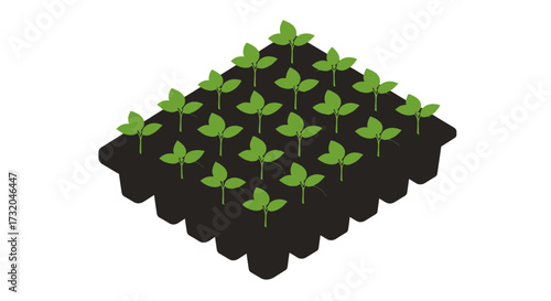 Seedling Tray Illustrating Cultivation of New Plants and Future Growth