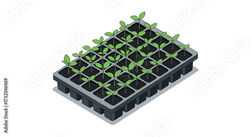 Seedlings emerge from a tray, representing new growth and cultivation