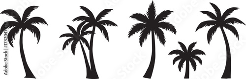 Elegant Black Palm Tree Silhouette Collection – Diverse Tropical Vector Shapes on a Clean White Background