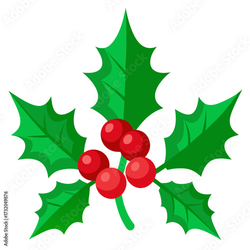 Holly sprig with red berries and green leaves christmas