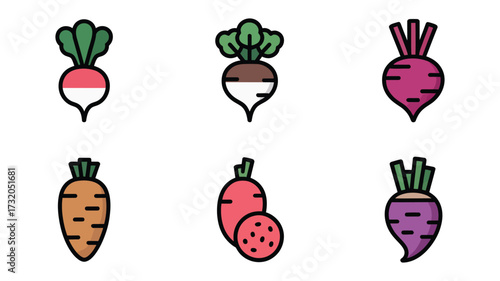 Vector Illustration of various root vegetables, including carrots, radishes, and beets healthy and colorful vegetables