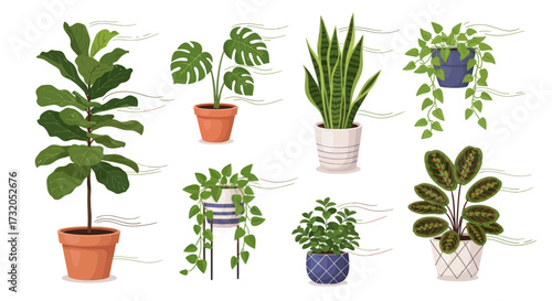 Diverse Potted Green Houseplants Collection in Various Decorative Containers.