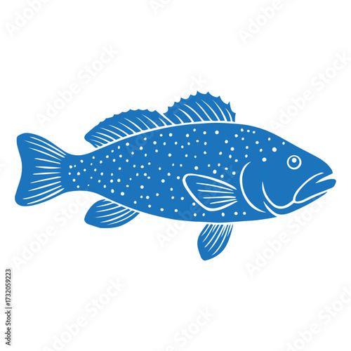 grouper