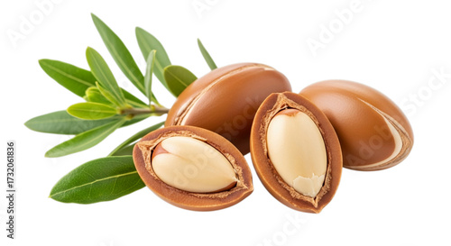 Photo of argan nuts with leaves isolated on transparent background