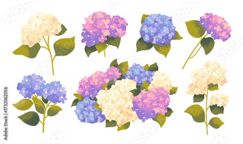 Hydrangea flower set. Flat drawn hydrangea branches with green leaves. Vector drawn illustrations
