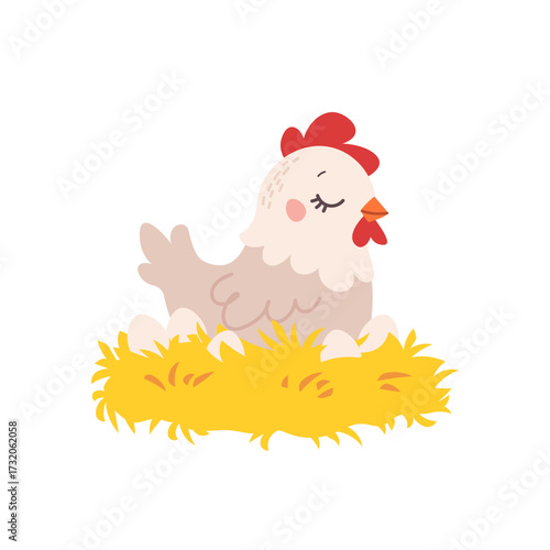 Hen on nest with eggs. Cute hen incubating eggs on white background. Vector cartoon flat illustration