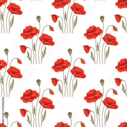 Seamless floral pattern with red poppies on white background. Vector fabric swatch with wildflowers
