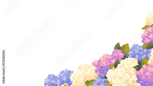 White background with hydrangea branches. Bottom frame, border with hydrangea. Vector botanical frame