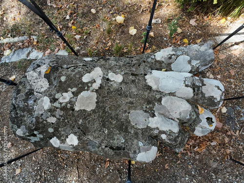 PRATOLINO, ITALY:  Original foot of the Colossus in the Medicean Villa