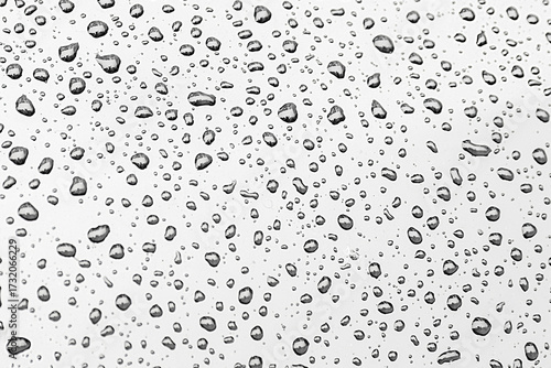 Wallpaper Mural pattern of raindrops on a metal surface Torontodigital.ca