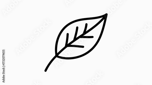 Elegant simple black outline leaf icon symbolizing nature growth organic sustainability eco friendly concepts