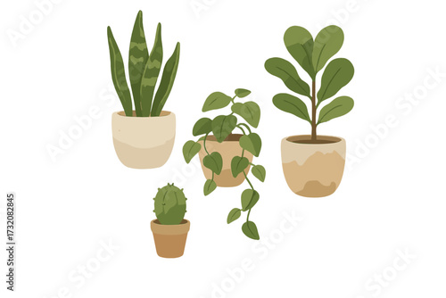 Assortment of popular green indoor houseplants in decorative pots including snake plant, cactus, and trailing vine
