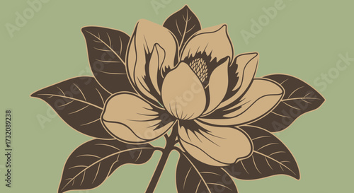 Stylized flower on muted green background