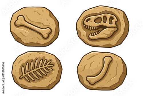 Paleontology vector icon set. Collection of prehistoric fossils including dinosaur T-rex skull, bones, and ancient araucaria leaf. Archeology excavation cartoon elements.