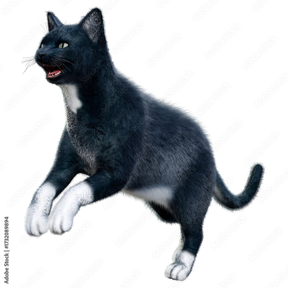 Obraz premium 3D Rendering Black Cat on White