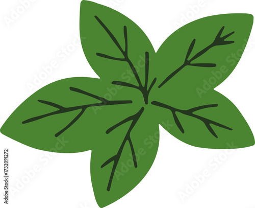 Green mint leaf illustration with detailed veins and texture  