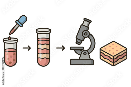 Artificial skin creation process. Bioengineering and regenerative medicine concept. Lab-grown tissue from cell culture in test tube, analysis with microscope. Science vector.