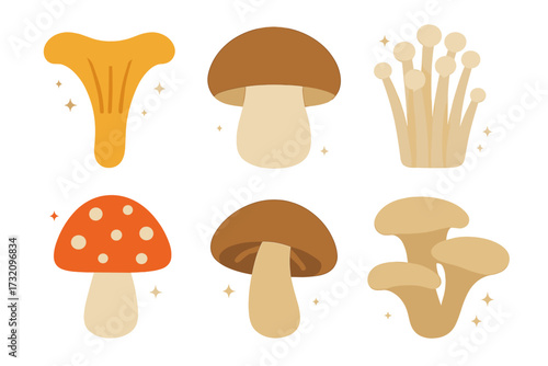 Assortment of colorful stylized mushrooms including chanterelle, boletus, enoki, and fly agaric with decorative sparkles