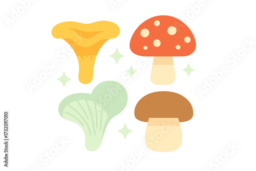 Variety of colorful forest fungi including chanterelle, fly agaric, and boletus mushrooms with decorative star elements