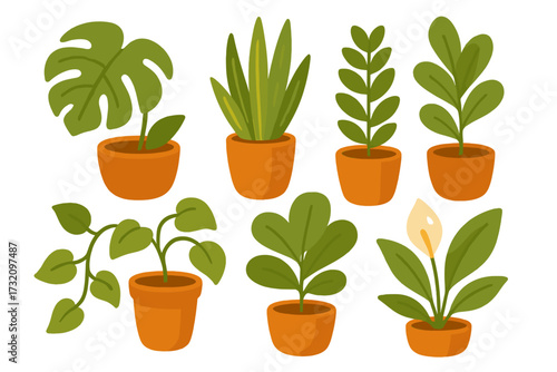 Assortment of diverse green potted houseplants for interior decoration and urban jungle aesthetic, perfect for home and office environments