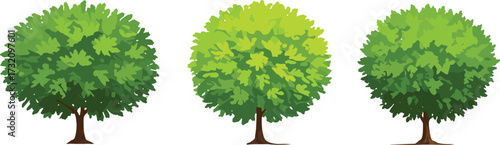 Round green leafy trees illustration, natural garden tree design, vibrant foliage drawing, outdoor park nature, woodland vegetation, seasonal botanical landscape background