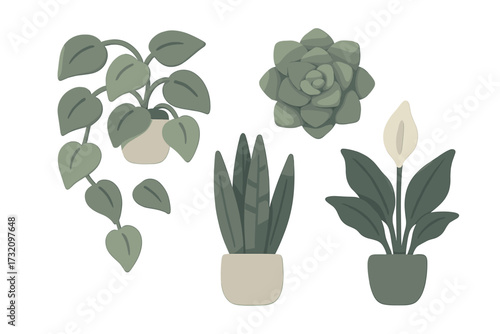 Stylized indoor plants set with peace lily, succulent, and trailing foliage in decorative pots, perfect for modern interior design