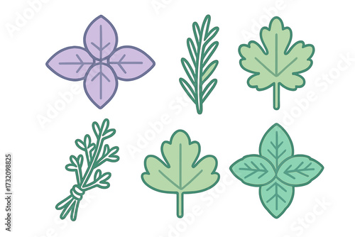 Stylized collection of fresh culinary herbs and aromatic spices including basil, rosemary, parsley, and mint for cooking
