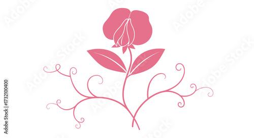 Simple pink sweet pea floral design with curls on a white background