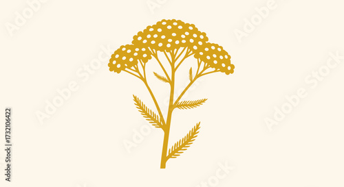 Golden yarrow plant, minimalist vector