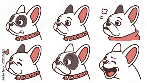 Collection of french bulldog expressions isolated on white background