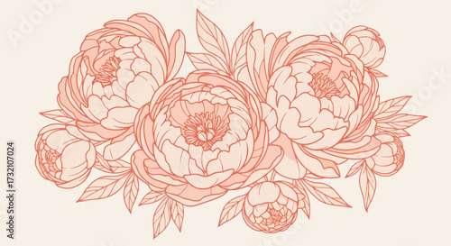 Peach outlines of blossoming peonies and leaves